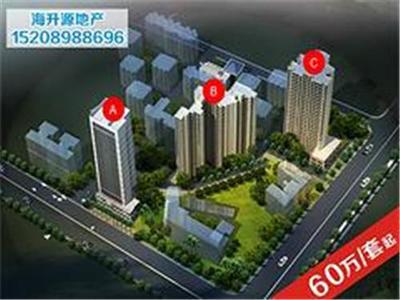 海口海升源房地產(chǎn)營(yíng)銷策劃 專業(yè)房產(chǎn)咨詢與商務(wù)信息咨詢的領(lǐng)航者